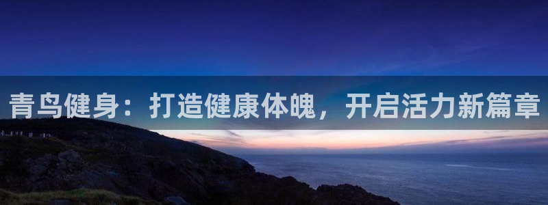 龙8国际游资如何