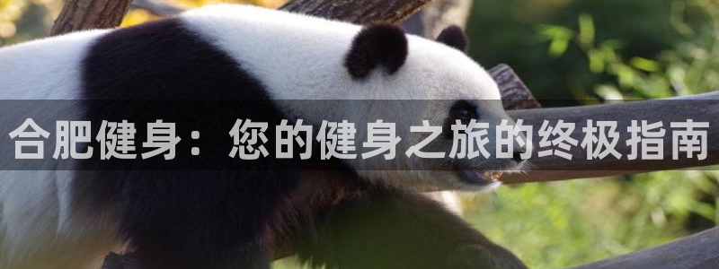 龙八国际娱乐网页多少