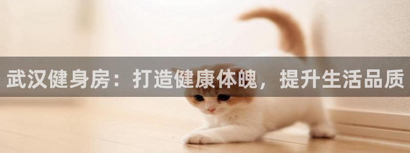 龙8国际免费试玩