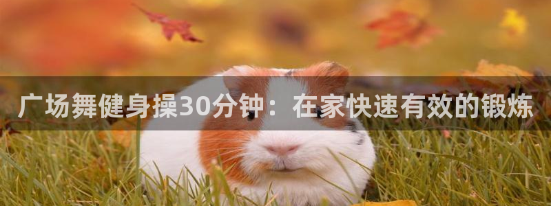 龙八国际服官网入口
