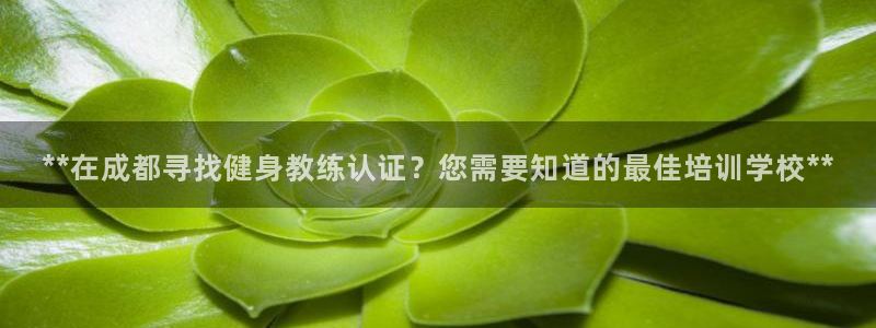 龙八国际首页