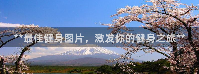 龙八国际首页