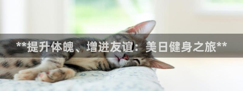 龙8棋牌平台