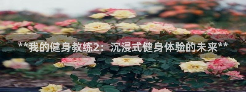 龙8国际怎么样