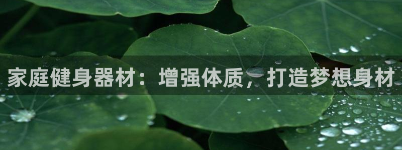 龙八国际下载官网平台