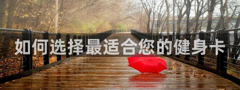 国际龙8下载