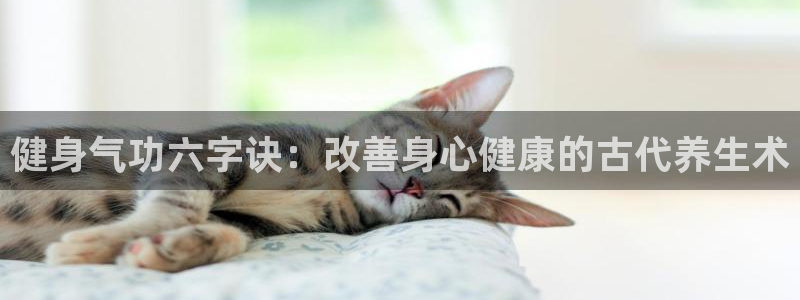 龙8国际手机游戏官网