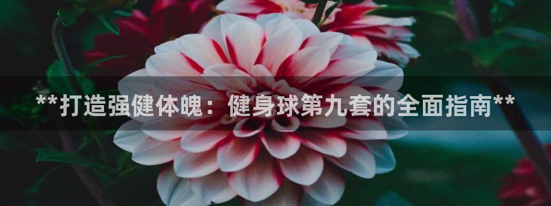 龙8国际.apk