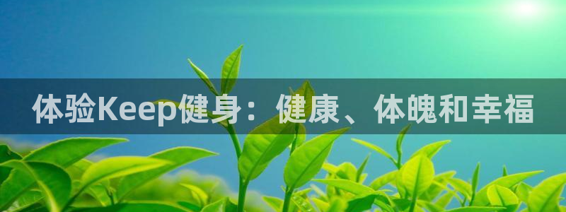 龙 八国际