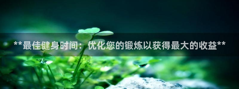 龙 八国际