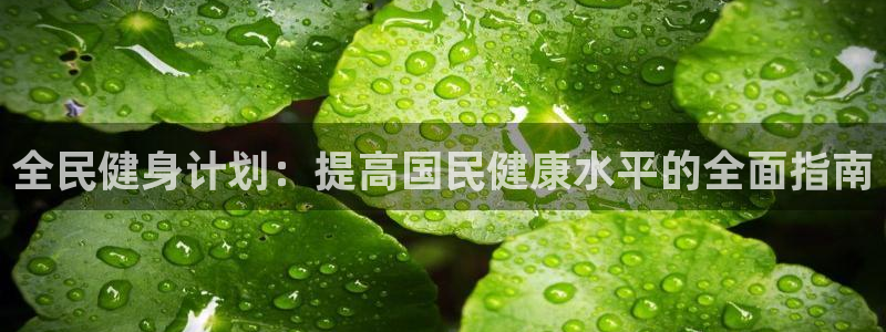 龙8国际long8