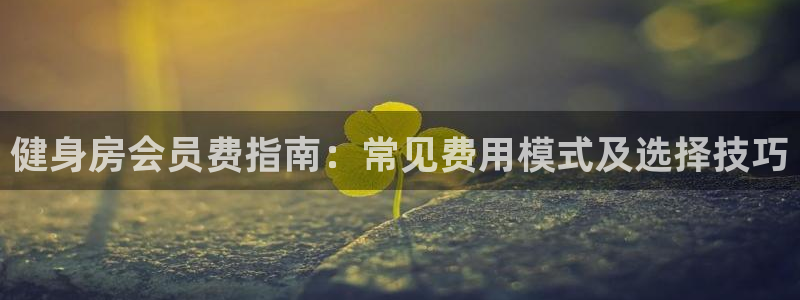 龙8国际网页版下载