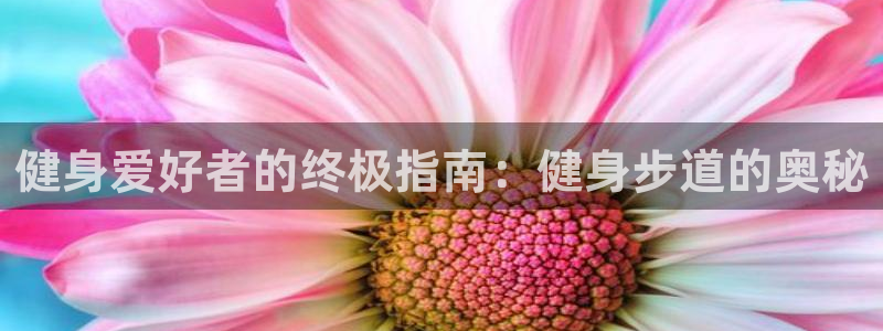 龙8国际是不是黑网