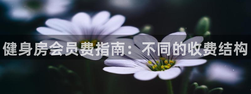 龙八国际娱乐官网app