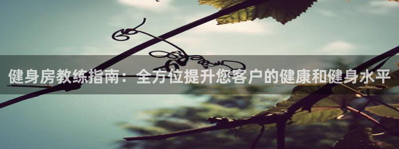 龙8国际电子平台