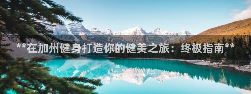 龙8国际平台