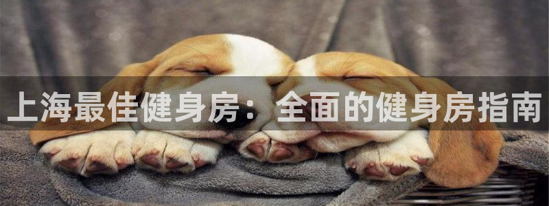 龙八国际手机客户端
