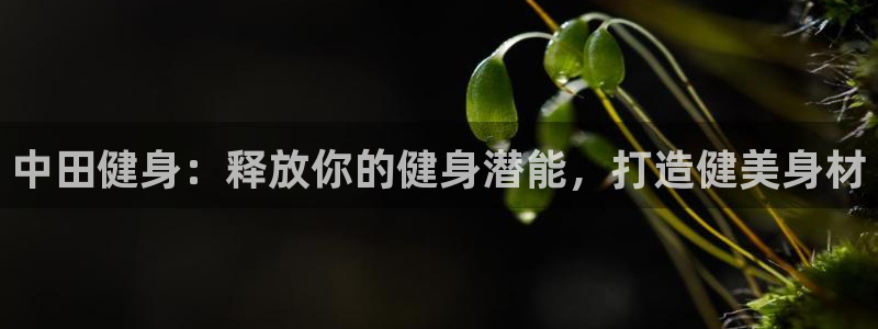 龙 八国际