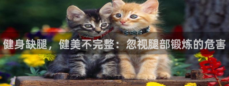 龙8国际是什么电影