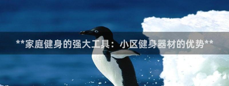 龙8国际官网手机客户端