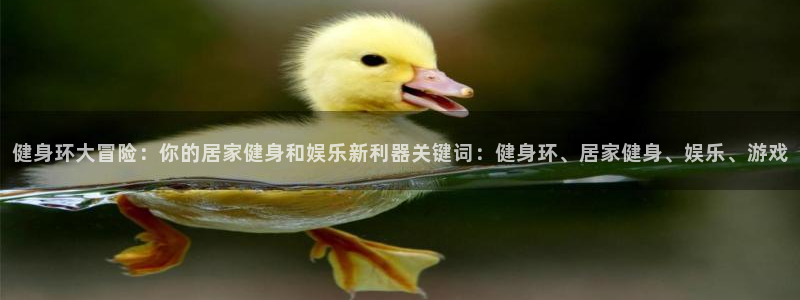 龙8游戏官方网站s