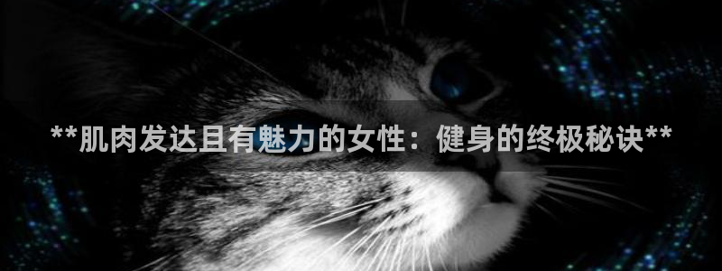 龙八国际官方网