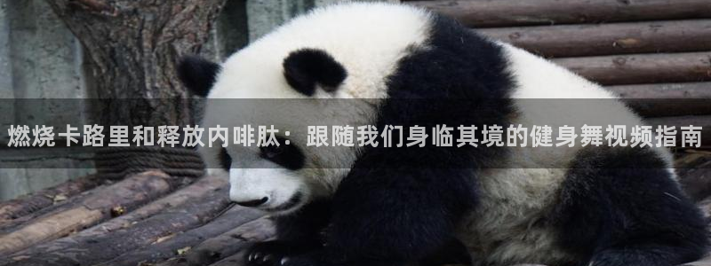 下载龙八国际官网