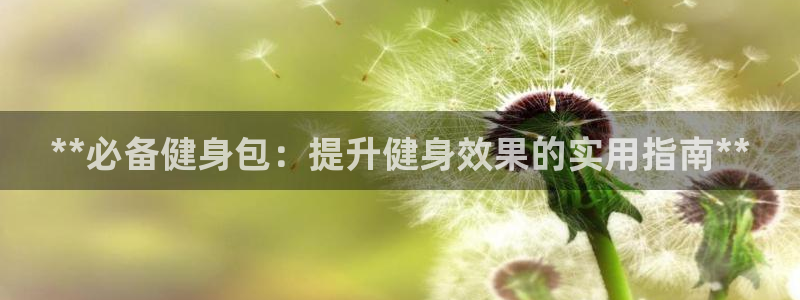 龙8国际手机登