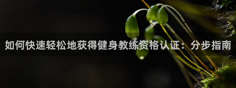 龙8国际的官方网站