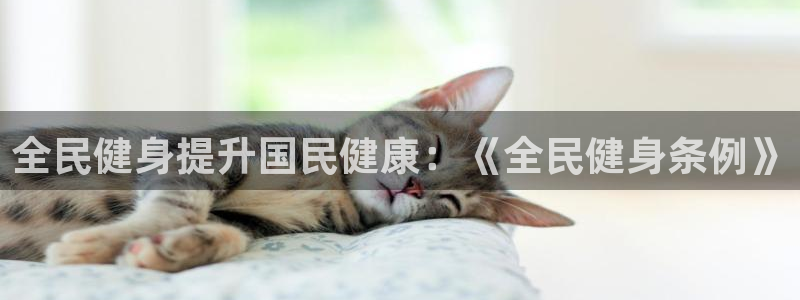 下载龙八国际