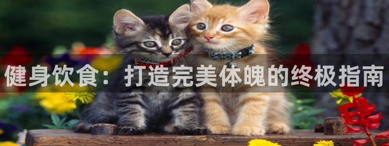 龙8国际2021官方网站pkufli5.10