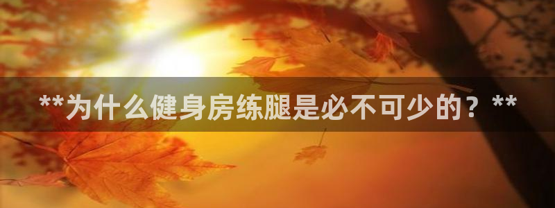 龙8国际官网版玩法
