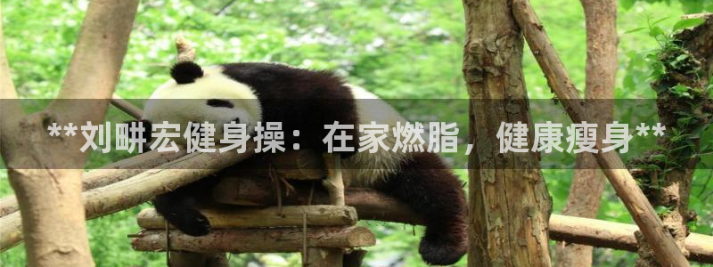 龙8国际手机游戏官网