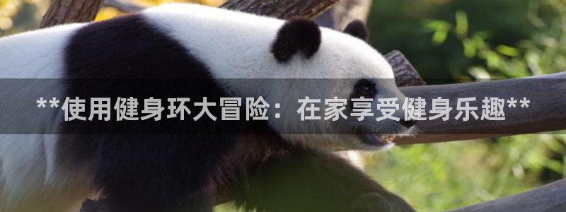 龙8游戏入口