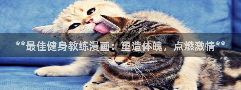 龙8国际在线