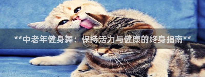龙8国际的漏洞