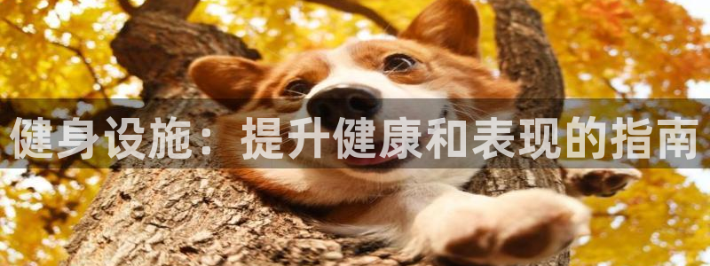 龙8国际下载