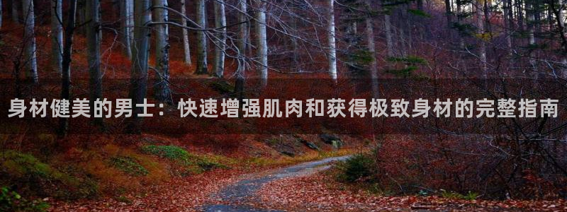 龙八国际服官网站