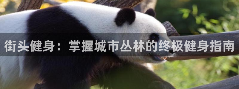 龙8国际网页版