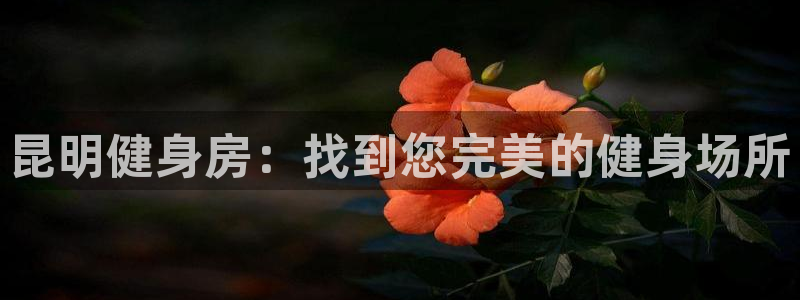 龙8国际app下载客户端