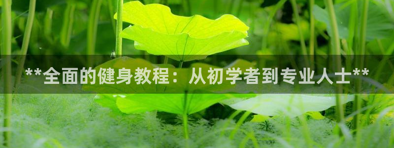 龙8国际被侦破了吗