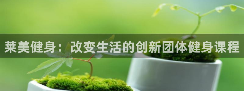 国际龙8官方网站
