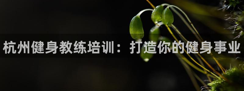 龙8国际现金