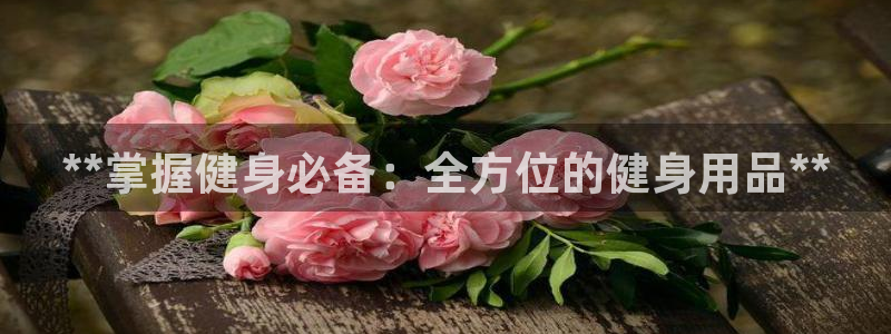 国际龙8官方网站