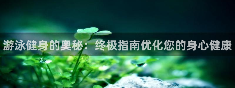 龙8国际手机版官网下载