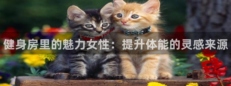 龙8-龙国际-long8-龙8游戏