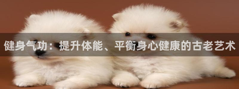 龙8国际官网 点此进入游戏
