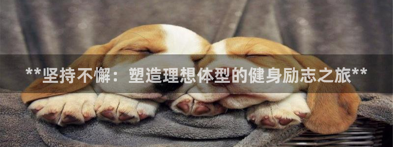 龙8国际欢迎您