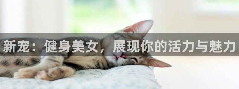 龙8游戏官方进入