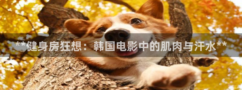 龙8国际线上